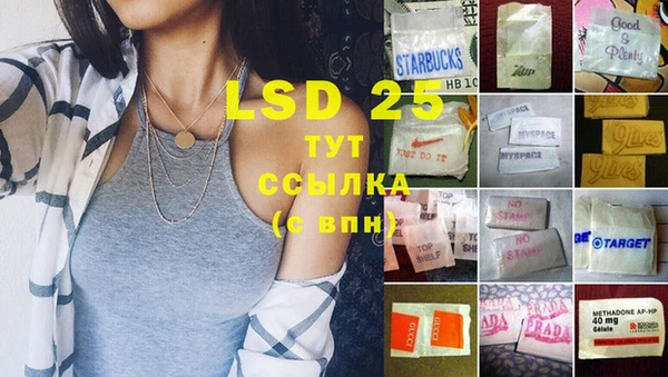 стаф Баксан