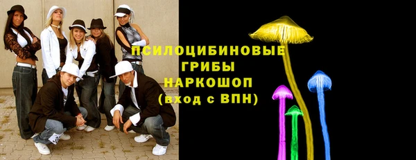 стаф Баксан