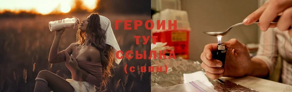 сатива Новодвинск