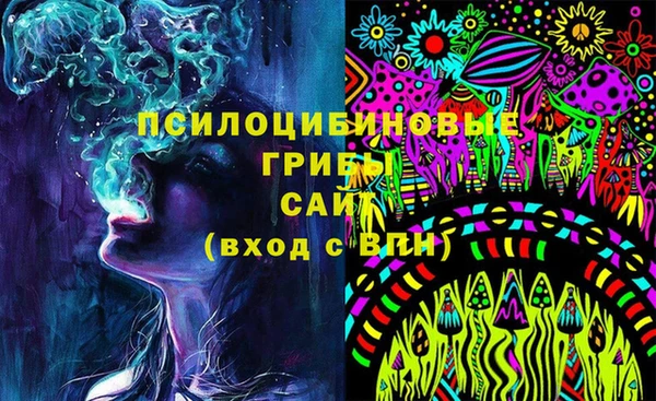 стаф Баксан