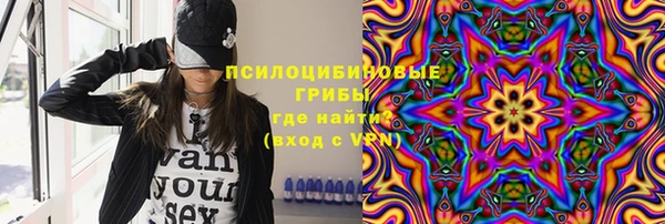 стаф Баксан