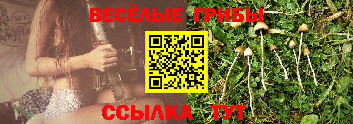 Псилоцибиновые грибы мухоморы  Вход с VPN  Галлюциногенные грибы GOLDEN TEACHER  Ульяновск 
