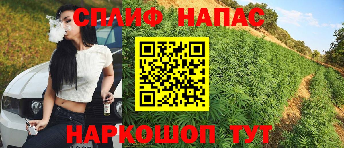 Бошки Шишки Amnesia  Бошки Шишки Bruce Banner  Бошки марихуана план  Канабис план  Ульяновск  Вход с VPN 